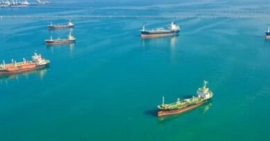 Oil Tanker Traffic through Strait of Hormuz Rebounds after US-Iran Ceasefire, but Shipping Industry Faces New Uncertainty