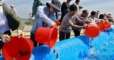 China and South Korea Release Millions of Fish Fry in Yellow Sea to Strengthen Sustainable Fisheries