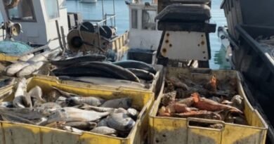 US Senate Farm Bill Advances Seafood Industry Support, Expands Commercial Fishing Loan Access and Strengthens Coastal Economies