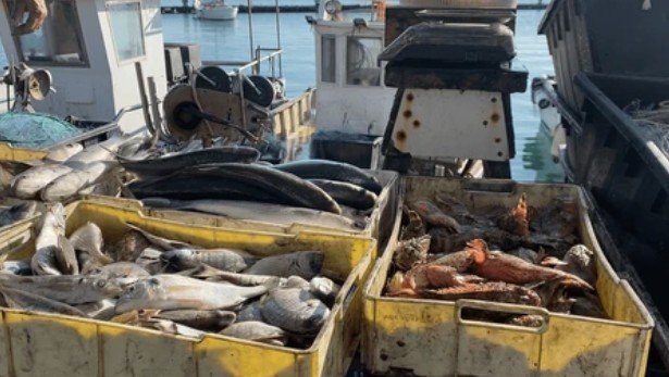 US Senate Farm Bill Advances Seafood Industry Support, Expands Commercial Fishing Loan Access and Strengthens Coastal Economies