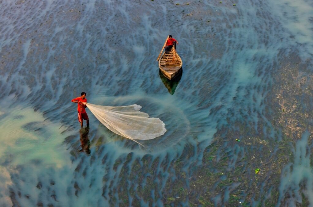 Asia Dominates Global Fisheries and Aquaculture Industry as Seafood Production Surges: FAO Report