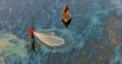 Asia Dominates Global Fisheries and Aquaculture Industry as Seafood Production Surges: FAO Report