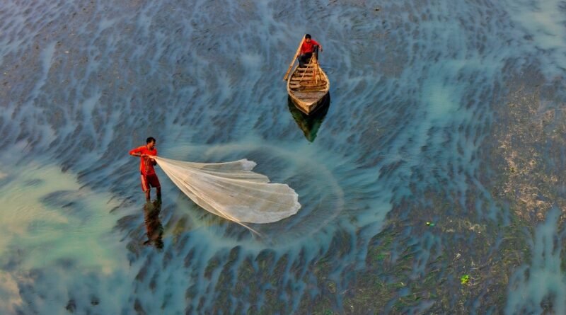 Asia Dominates Global Fisheries and Aquaculture Industry as Seafood Production Surges: FAO Report