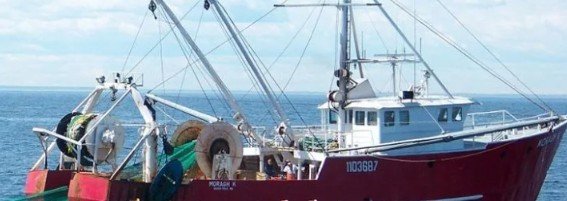Trump Administration Reopens Commercial Fishing in Pacific Marine National Monuments