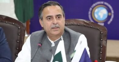 Arabian Sea Marine Heatwave Demands Urgent Climate Action in Pakistan: Junaid Anawar Chaudhry