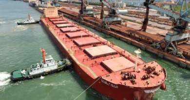 Singapore-Flagged Container Ship Damaged by Unknown Projectile in Strait of Hormuz