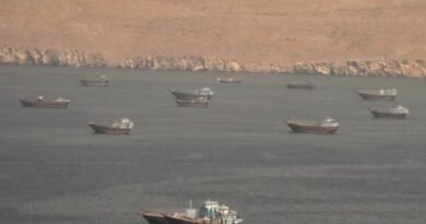 Oman and Iran Advance Talks on Strait of Hormuz Navigation Management amid Global Shipping Concerns