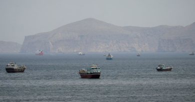 IMO Announces Evacuation of 11,000 Stranded Seafarers as Maritime Security Returns to Strait of Hormuz