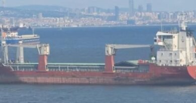 Four Indian Seafarers Rescued from Abandoned Cargo Ship After 10 Months in Turkey