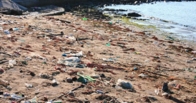 Maritime Minister, Sindh Governor Urge Joint Action on Ocean Sustainability and Marine Pollution Control