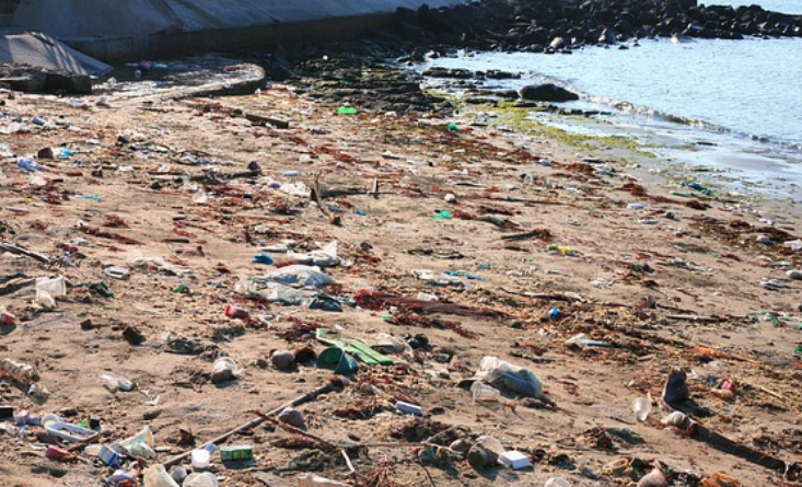 Maritime Minister, Sindh Governor Urge Joint Action on Ocean Sustainability and Marine Pollution Control