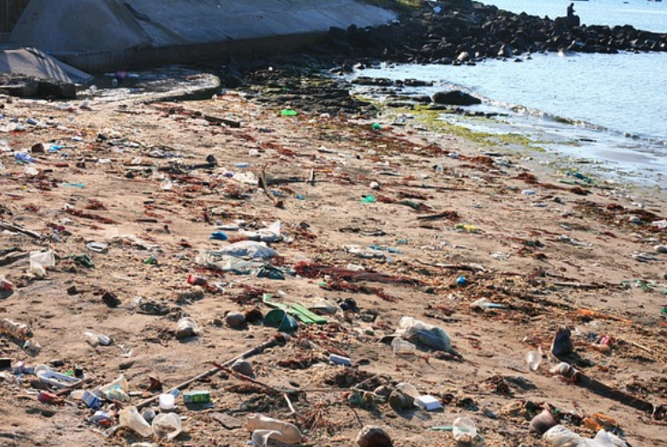 Maritime Minister, Sindh Governor Urge Joint Action on Ocean Sustainability and Marine Pollution Control