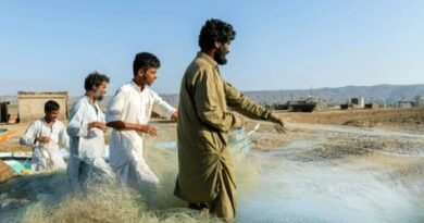 Sindh Government Abolishes Contract Fishing System, Introduces Major Fisheries Reforms for Licensed Fishermen