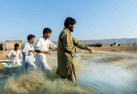 Sindh Government Abolishes Contract Fishing System, Introduces Major Fisheries Reforms for Licensed Fishermen