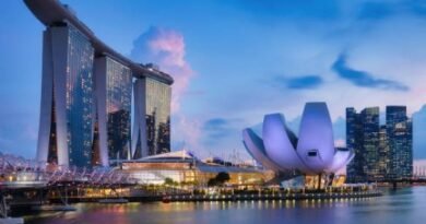 Singapore Expands LNG Bunkering Capacity with Eight New Marine Fuel Licences