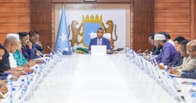 Somalia Approves Egypt Maritime Transport Agreement as Cairo Expands Red Sea Port Cooperation
