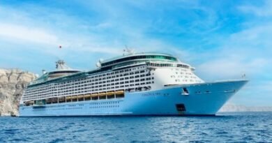 Critical Metals Buys Arctic Cruise Ship to House 300 Workers at Greenland Rare Earth Mining Project