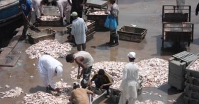 Pakistan Seafood Exports Hit Record US$568 Million in FY2025-26, Strengthening Blue Economy and Global Maritime Trade