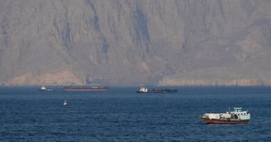 Hormuz Strait Shipping Slows as Oil Tanker Traffic Falls and LNG Floating Storage Builds Amid Middle East Conflict