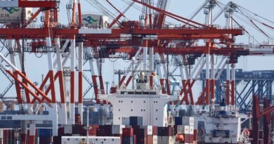 Japan Approves $510 Million Port Infrastructure Program to Boost Cargo Capacity and Maritime Logistics