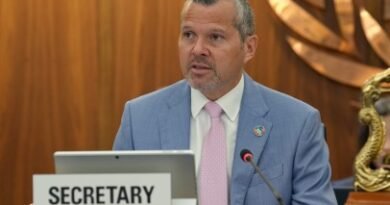 IMO Chief Condemns Strait of Hormuz Ship Attacks, Urges Immediate De-Escalation to Protect Global Shipping