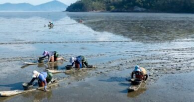 South Korea Showcases UNESCO Tidal Flats and K-Seafood at World Heritage Committee in Busan