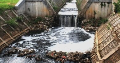 Untreated Wastewater Discharge: A Growing Microbiological Threat to Coastal Ecosystems and Human Health