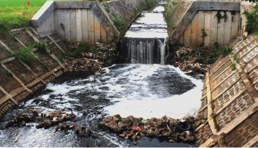 Untreated Wastewater Discharge: A Growing Microbiological Threat to Coastal Ecosystems and Human Health