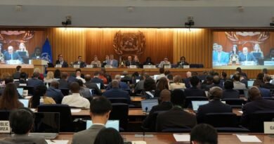 IMO Council Reaffirms Freedom of Navigation, Condemns Strait of Hormuz Attacks and Strengthens Global Maritime Safety Measures