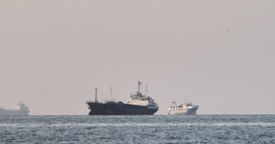 Strait of Hormuz Security Crisis Escalates as Saudi and Qatari Tankers Attacked, Global Shipping Faces Severe Risk