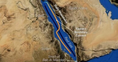 audi Arabia Launches New Red Sea Maritime Security Coalition to Protect Global Shipping and Trade Routes