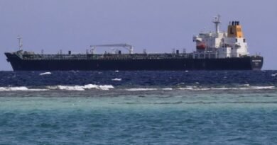 Chinese Supertankers Carrying Saudi Crude Oil Continue through Bab el-Mandeb amid Red Sea Security Risks