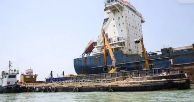 Ship Runs Aground in Strait of Hormuz After Leaving Iran-Designated Shipping Route
