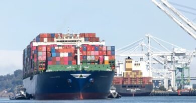 Japan Ship Demand Forecast 2050: Global Maritime Cargo Growth and Future Shipbuilding Trends