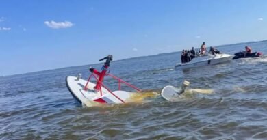 Whale Strike Sinks New Jersey Fireboat in Seconds, Firefighters Escape in Dramatic Maritime Rescue