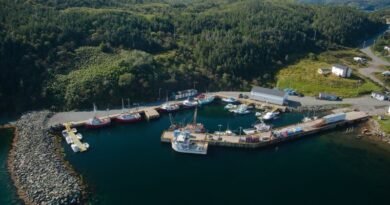 Canada Invests in Small Craft Harbour Modernization in Newfoundland and Labrador to Strengthen Fisheries Infrastructure and Coastal Resilience