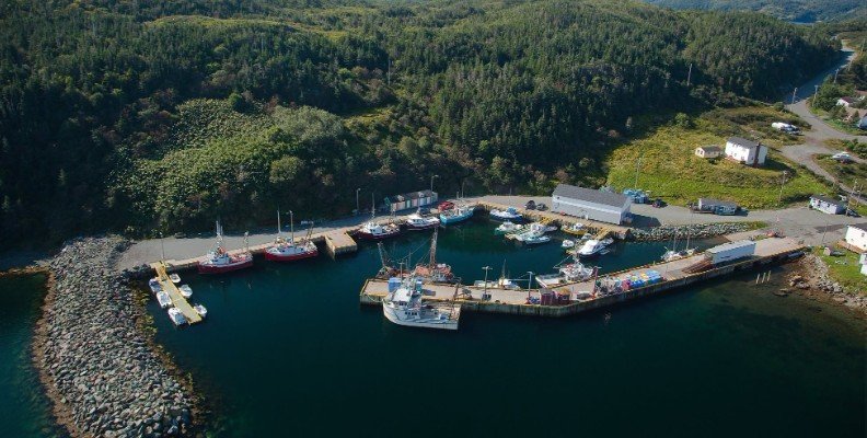 Canada Invests in Small Craft Harbour Modernization in Newfoundland and Labrador to Strengthen Fisheries Infrastructure and Coastal Resilience