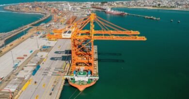 Toamasina Port Welcomes Madagascar's First STS Cranes