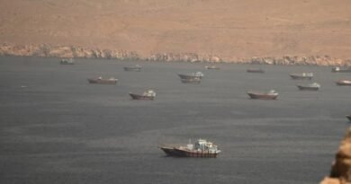International Maritime Organization Calls for Urgent Maritime Security Action in Strait of Hormuz