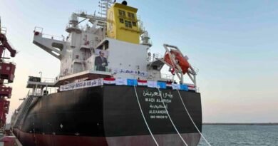 Egypt Strengthens National Fleet With Two 82,000-Ton Kamsarmax Bulk Carriers From China