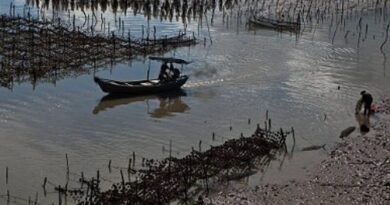 Pakistan Plans 100-Acre Mariculture Investment Estate at Korangi Harbour