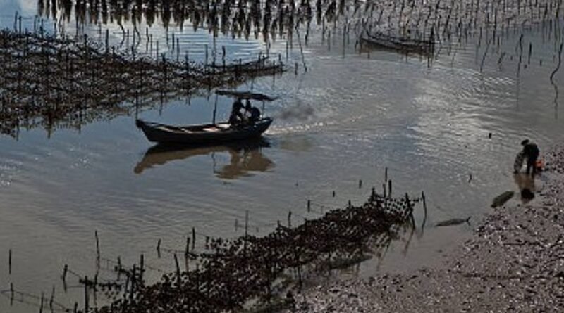 Pakistan Plans 100-Acre Mariculture Investment Estate at Korangi Harbour