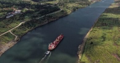 Panama-Flagged Ship Launches Direct China–Vietnam Route