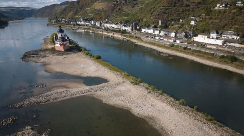 Rhine Water Levels Fall Below Shipping Threshold as Freight Costs Rise