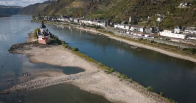 Rhine Water Levels Fall Below Shipping Threshold as Freight Costs Rise