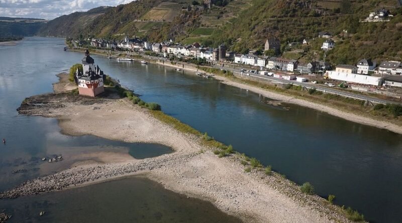 Rhine Water Levels Fall Below Shipping Threshold as Freight Costs Rise