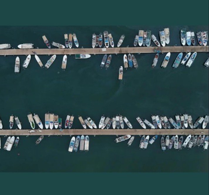 Jazan Shrimp Fishing Season Begins, Boosting Aquaculture, Fisheries and Food Security