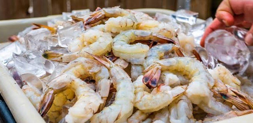 U.S. Court Upholds Shrimp Tariffs and International Trade Measures for Ecuador, India and Vietnam