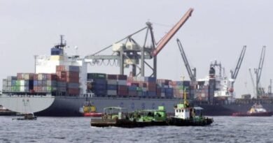 Pakistan Considers Container Vessel to Cut Export Shipping Costs