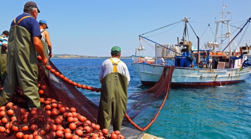 European Commission Seeks Common Fisher Training Standards